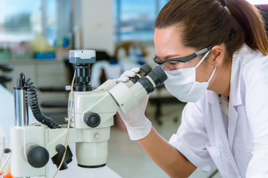 DeWatermark.ai_1739103347404