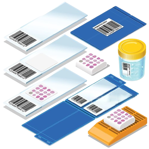 wmremove-transformed__4_-removebg-preview